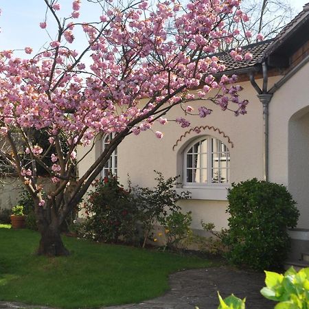 Maison D'Hotes Paris Riverside Saint-Maur-des-Fosses Luaran gambar