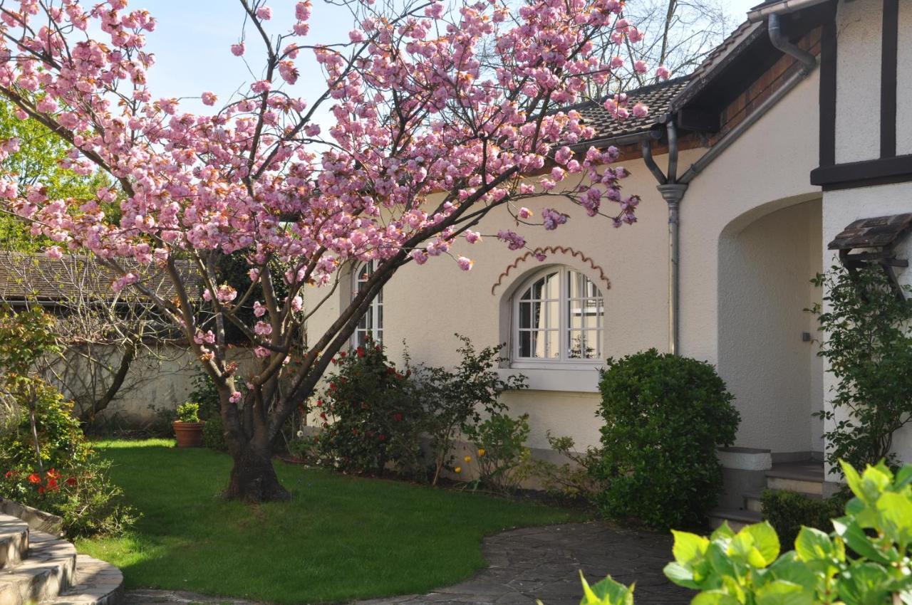 Maison D'Hotes Paris Riverside Saint-Maur-des-Fosses Luaran gambar